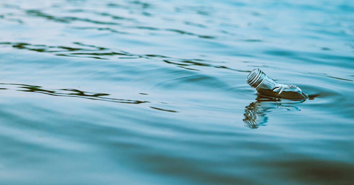 découvrez les principaux défis environnementaux de 2021 et leurs impacts globaux, ainsi que les solutions pour un avenir durable.