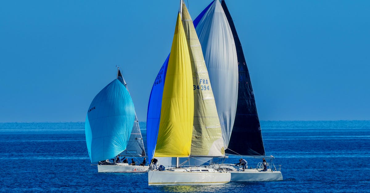 découvrez les joies de la voile : conseils, destinations, équipements et techniques pour naviguer en toute sécurité et profiter pleinement de cette activité nautique.