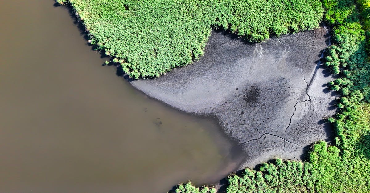 découvrez les enjeux et solutions de la transition écologique pour un avenir durable et respectueux de l'environnement.
