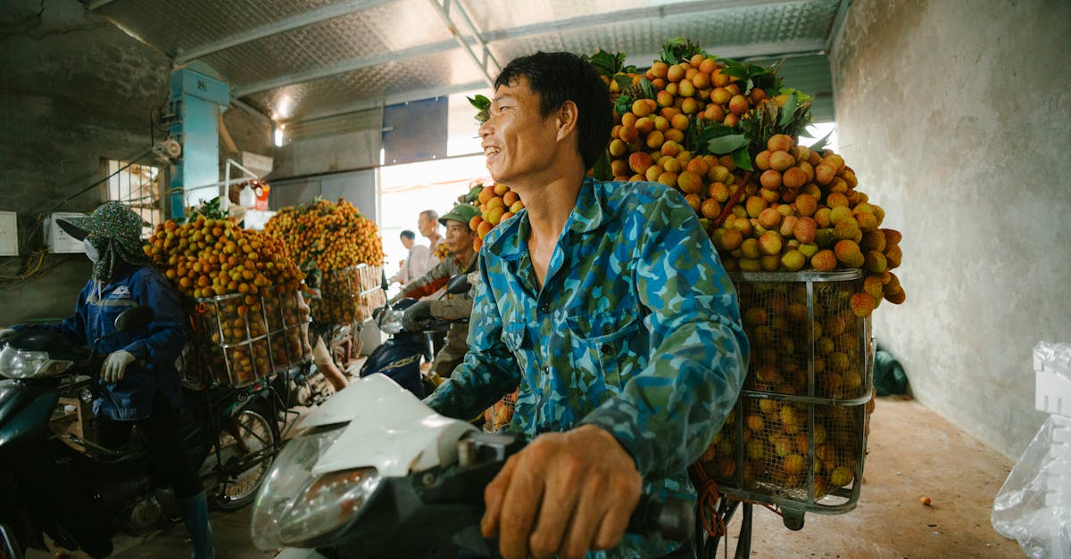 découvrez comment l'économie régénérative contribue à la durabilité et à la préservation de notre planète. explorez des pratiques innovantes qui restaurent les écosystèmes et favorisent un développement économique équilibré, tout en s'engageant pour un avenir respectueux de l'environnement.