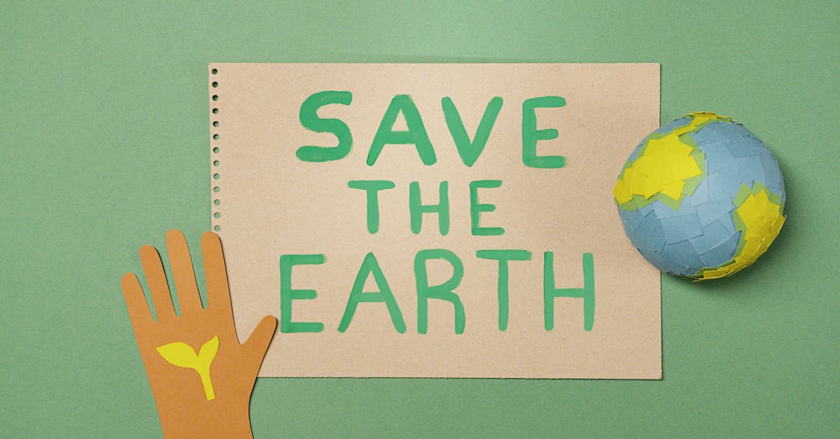découvrez l'écologie : l'étude des interactions entre les êtres vivants et leur environnement pour préserver la planète et promouvoir un développement durable.