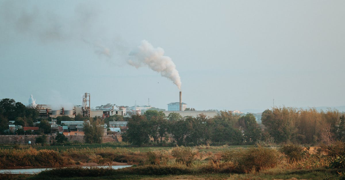 découvrez les stratégies et innovations pour un développement industriel durable qui favorise la croissance économique tout en préservant l’environnement et les ressources naturelles.