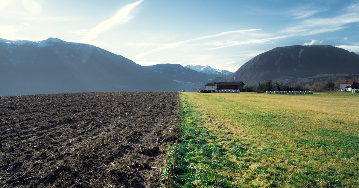 analyse de la dépendance de l'europe aux engrais : enjeux, impacts et stratégies pour assurer la sécurité agricole durable.