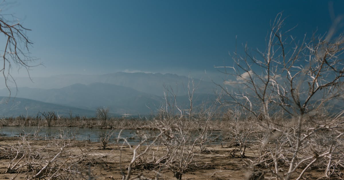 découvrez les causes, les impacts et les solutions face au changement climatique pour mieux comprendre cet enjeu crucial pour notre planète.