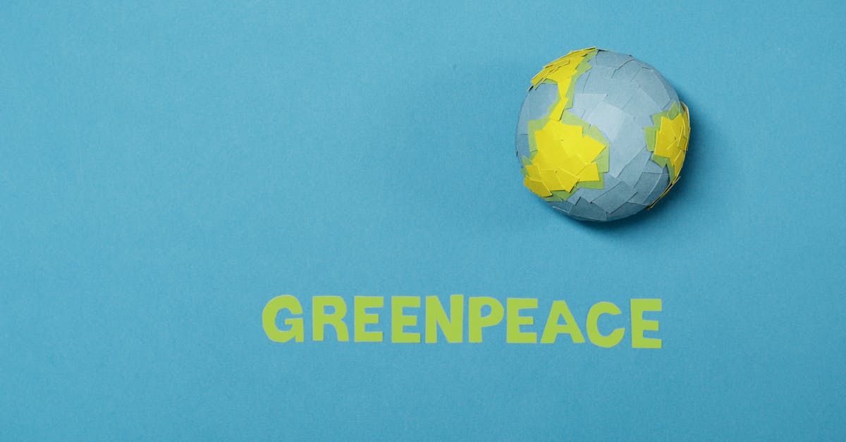 découvrez comment la justice environnementale vise à garantir l'égalité dans l'accès aux ressources naturelles et à la protection de l'environnement pour toutes les communautés, tout en luttant contre les injustices écologiques et en promouvant un développement durable.