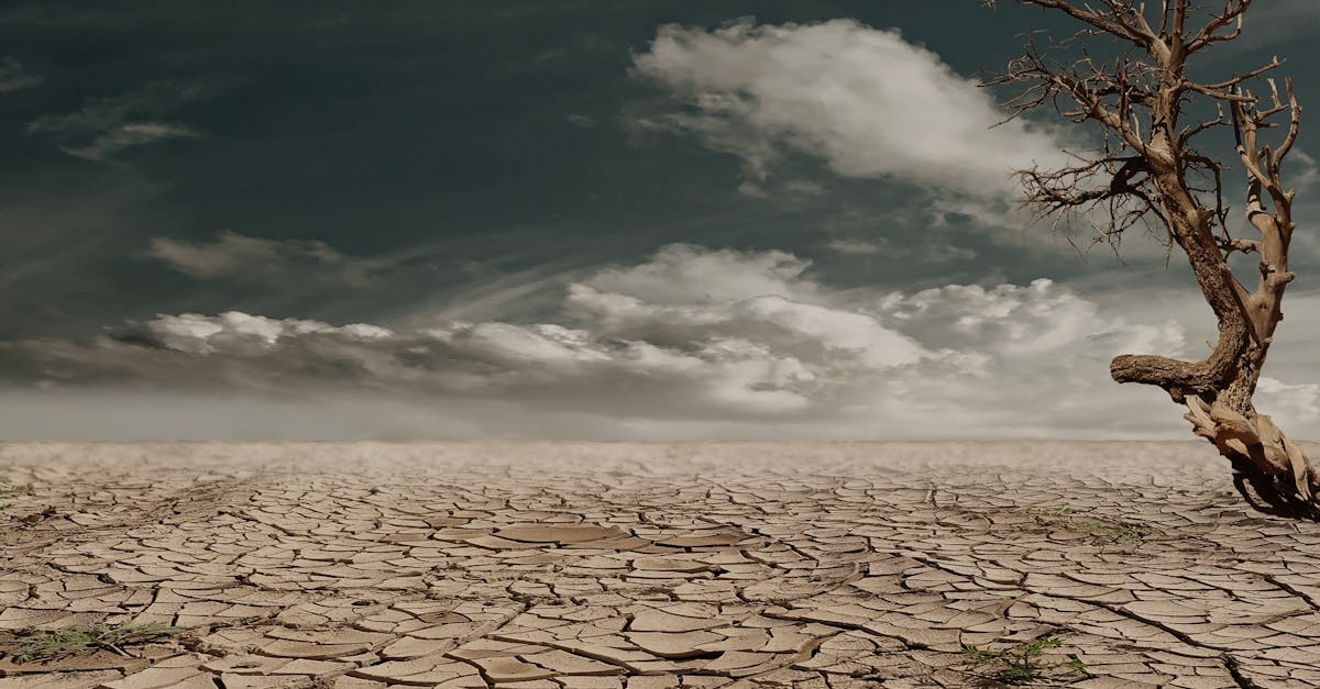 découvrez tout sur le climat : tendances, changements et impacts environnementaux pour mieux comprendre notre planète.