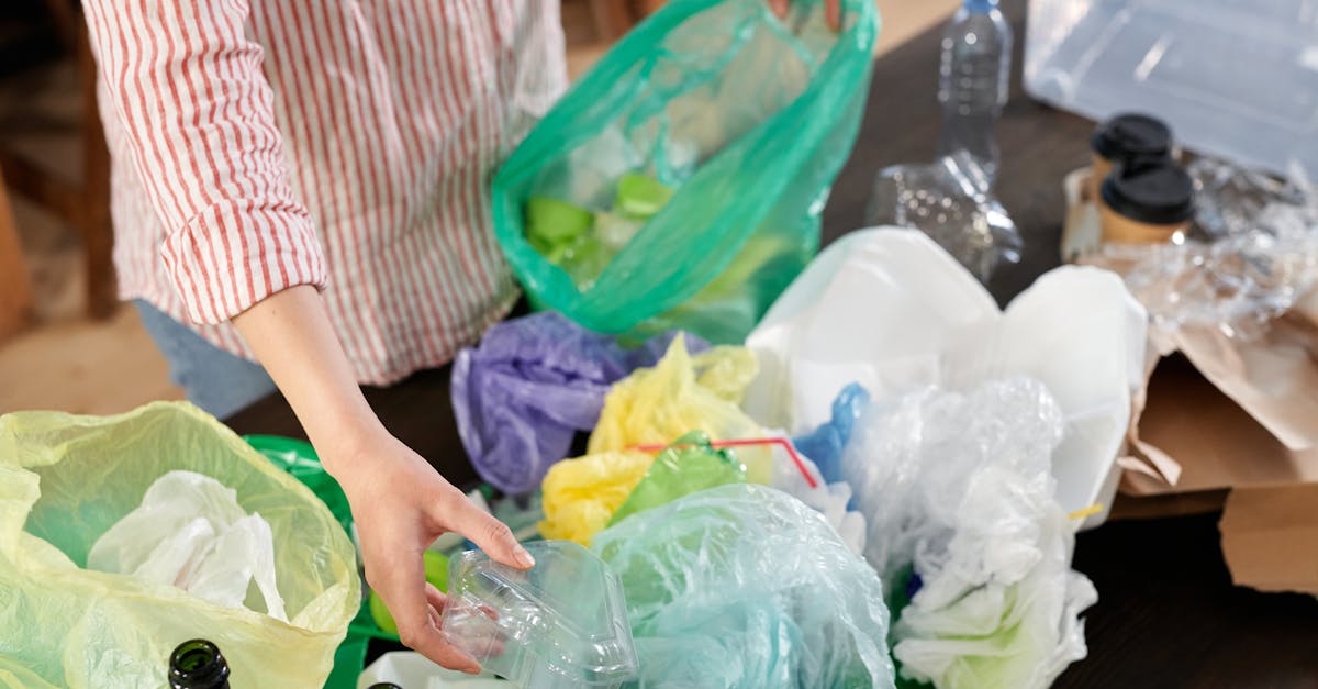 découvrez des pratiques durables qui contribuent à la préservation de l'environnement tout en promouvant un mode de vie responsable. apprenez comment intégrer des solutions écologiques dans votre quotidien pour un avenir plus vert.