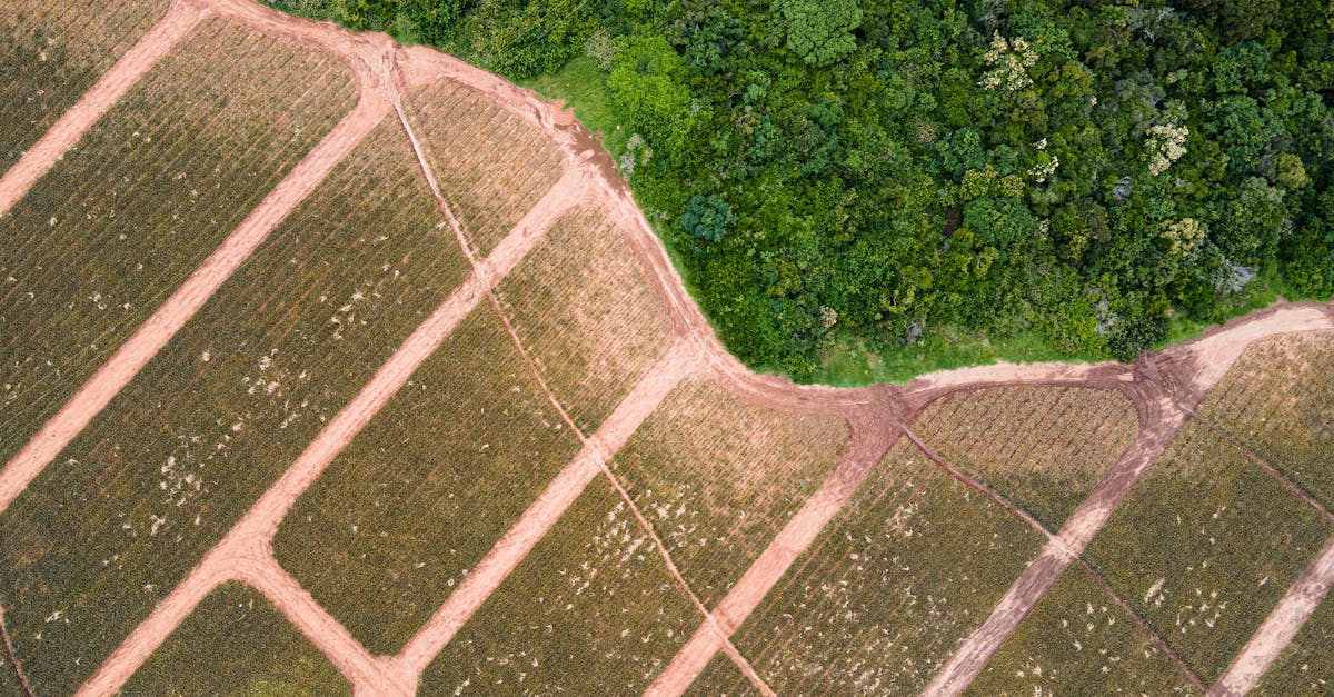 découvrez climate trial, une initiative innovante dédiée à l'étude et à la lutte contre le changement climatique grâce à des essais scientifiques rigoureux et des solutions durables.