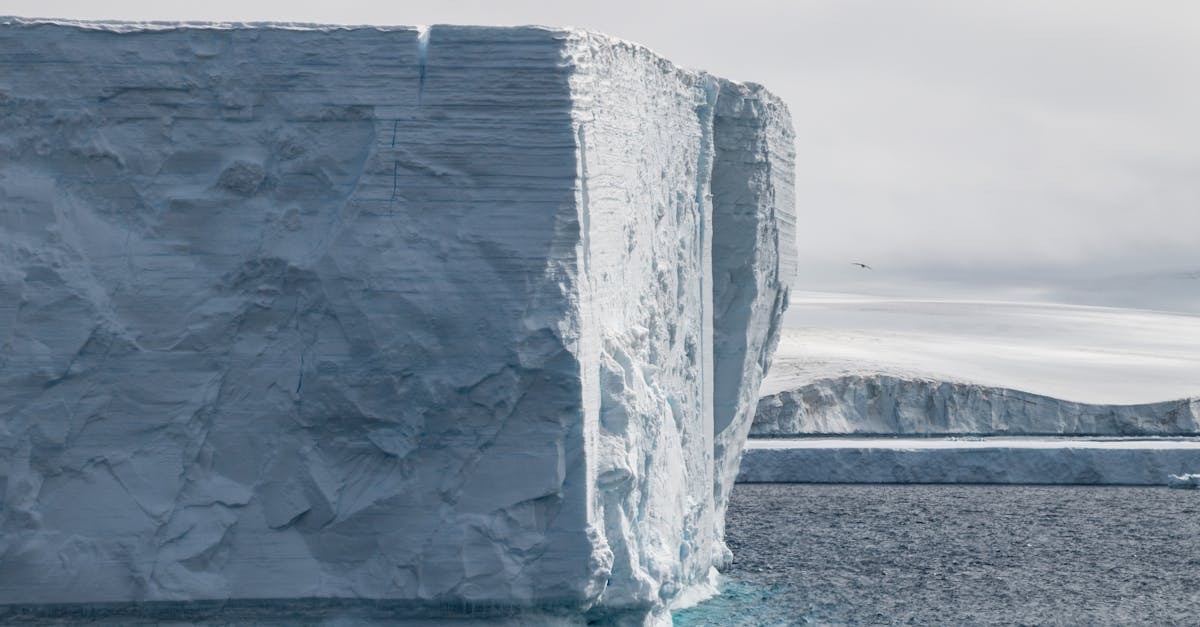 découvrez les enjeux et les dynamiques des négociations climatiques, essentielles pour préserver notre planète. apprenez comment les décisions prises lors de ces conférences peuvent impacter l'avenir de l'environnement et des générations futures.