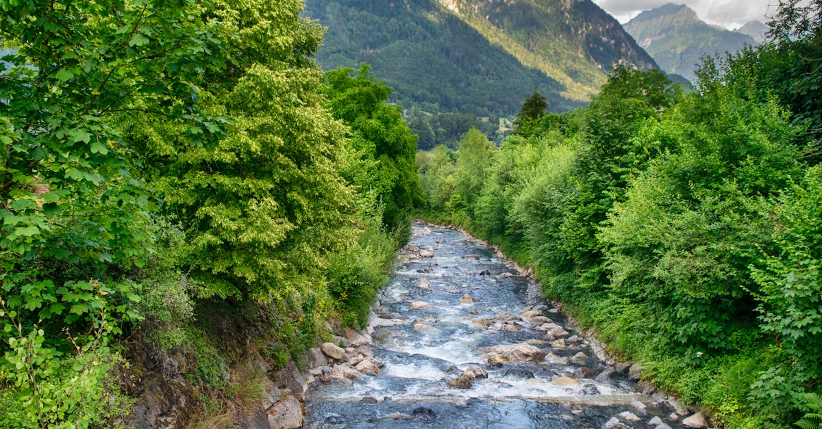 découvrez g7 environment, expert en gestion des déchets et solutions écologiques innovantes pour un environnement plus propre et durable.
