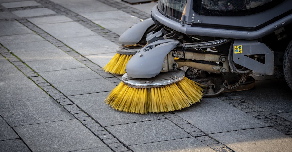 découvrez les meilleures pratiques et solutions pour maintenir la propreté urbaine et améliorer la qualité de vie en ville.