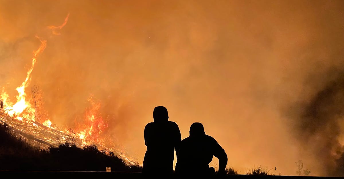 découvrez les facteurs de risque climatiques qui menacent notre environnement et notre société. comprenez comment ces éléments impactent l'économie, la santé publique et la biodiversité, et explorez des solutions pour atténuer ces risques.