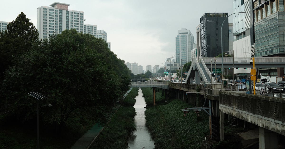découvrez l'urban renaturation : intégrer la nature en milieu urbain pour un environnement plus sain, durable et agréable à vivre.