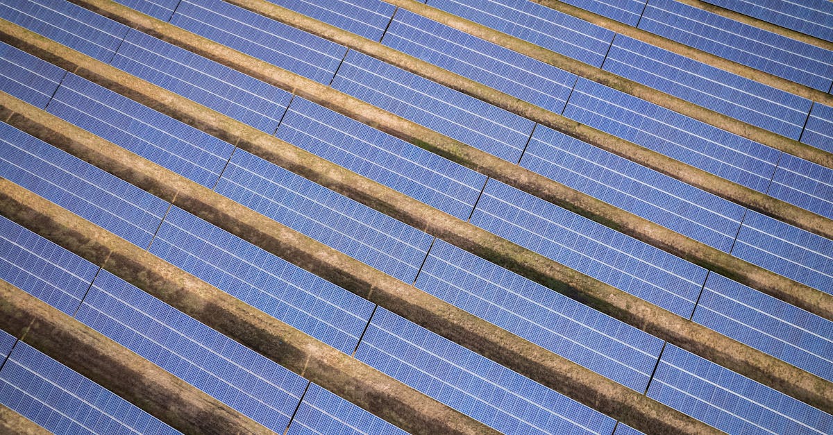 découvrez l'importance de la durabilité pour protéger notre planète, promouvoir des pratiques responsables et assurer un avenir meilleur.