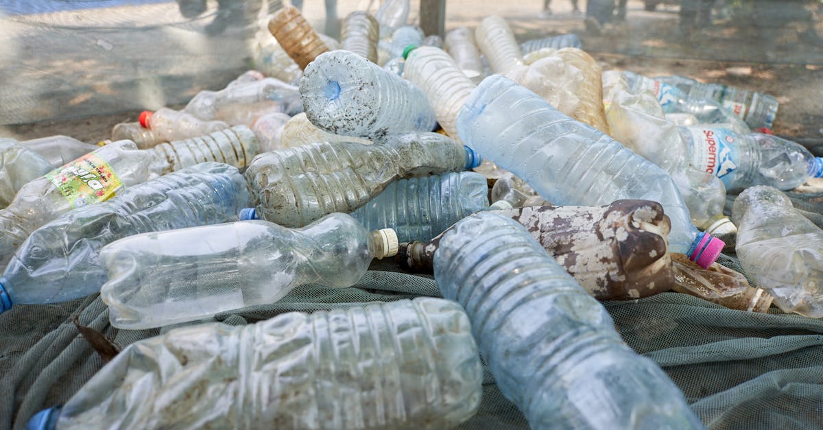 découvrez l'empreinte écologique, un indicateur clé de l'impact de nos activités sur l'environnement. apprenez à réduire votre empreinte pour un mode de vie durable et respectueux de la planète.