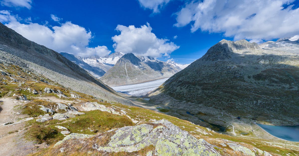 découvrez tout sur les glaciers : formations, évolution, impact sur l'environnement et importance dans le climat mondial.