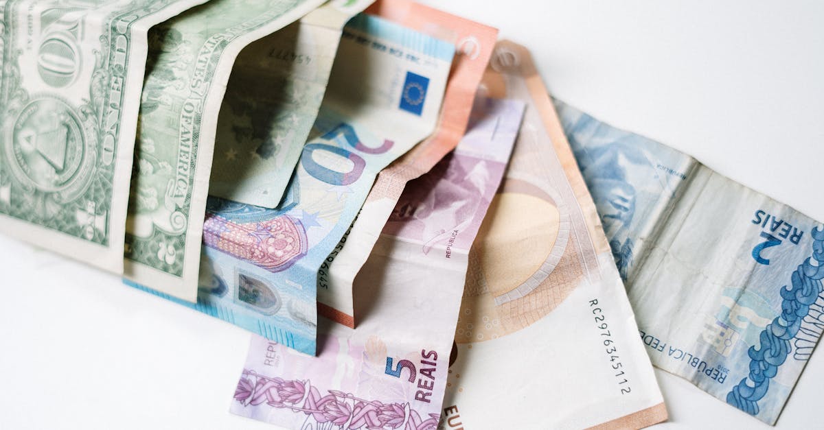 découvrez les principes et avantages de l'économie verte, une approche durable qui favorise la croissance économique tout en protégeant l'environnement. explorez comment les entreprises et les gouvernements intègrent des pratiques respectueuses de la nature pour bâtir un avenir plus écologique et prospère.