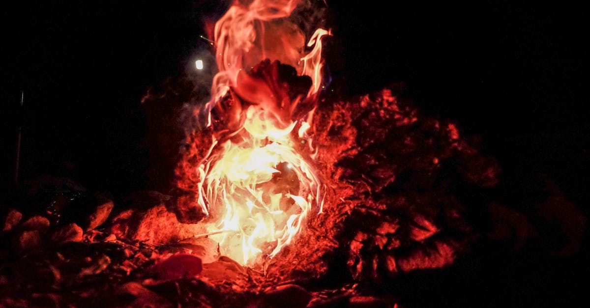 découvrez les causes, conséquences et solutions face aux incendies de forêt. informez-vous sur l'impact des feux de végétation sur l'environnement, la santé et les écosystèmes, ainsi que les mesures de prévention à adopter.