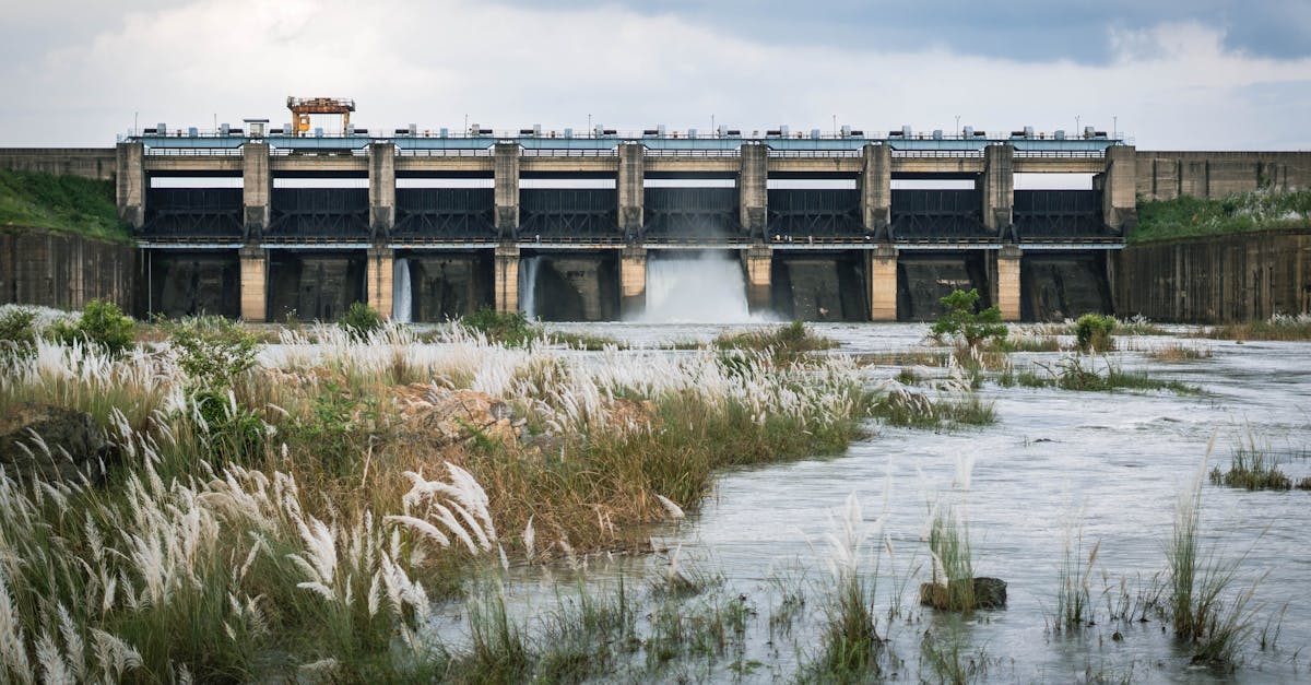 découvrez l'ingénierie écologique, une discipline innovante qui allie technologie et nature pour concevoir des solutions durables et respectueuses de l'environnement. apprenez comment cette approche contribue à la restauration des écosystèmes et à la gestion des ressources naturelles.