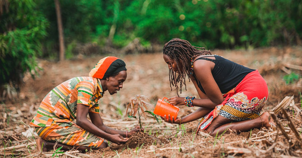 sensibilisation au changement climatique : comprendre ses causes, ses impacts et les actions pour protéger notre planète.