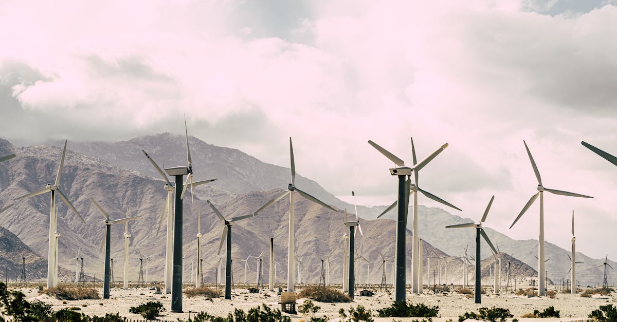 découvrez les enjeux et les solutions pour lutter contre le changement climatique. explorez des actions concrètes à adopter pour protéger l'environnement et préserver la planète.