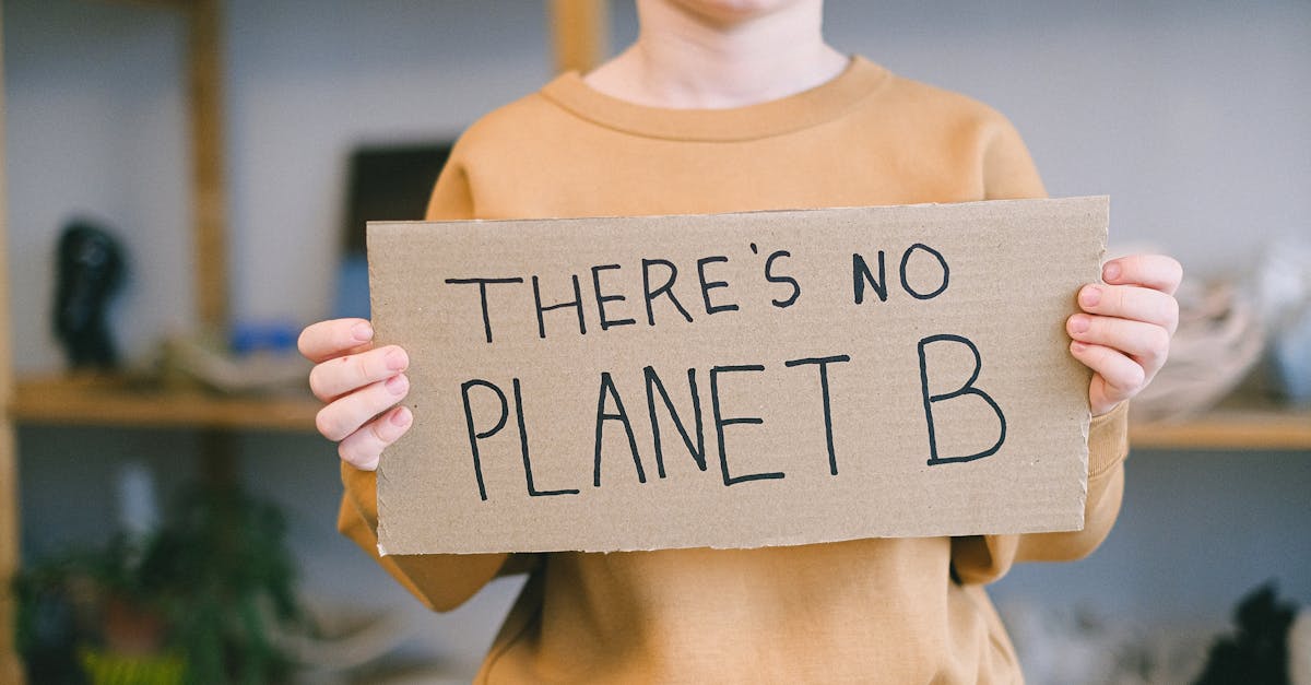découvrez comment la crise climatique impacte notre planète et notre avenir. explorez des solutions durables et rejoignez le mouvement pour un monde plus vert.