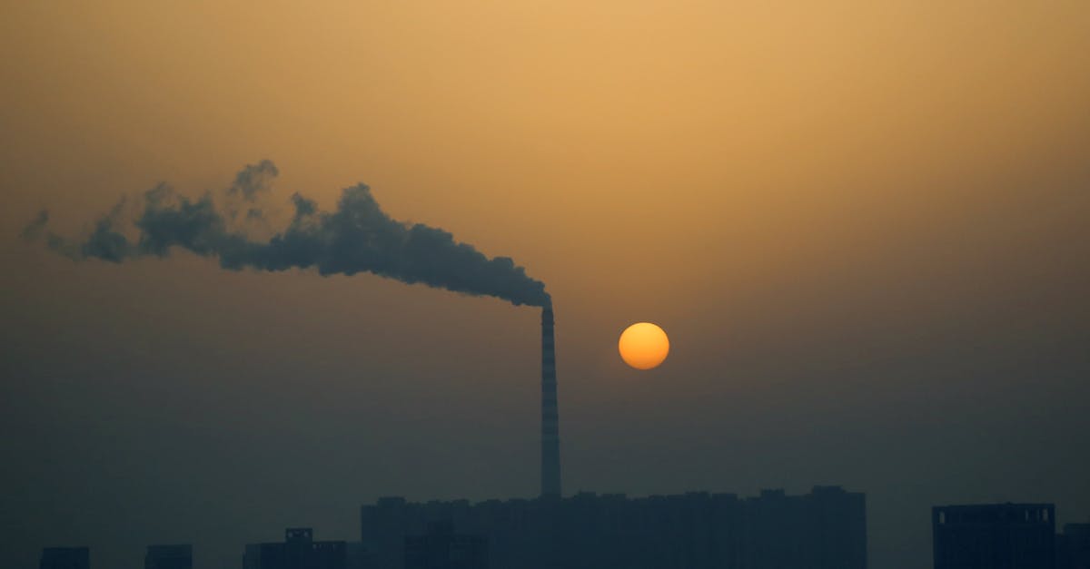découvrez le carbon score, un indice essentiel pour mesurer et réduire votre empreinte carbone afin de contribuer à la protection de l'environnement.
