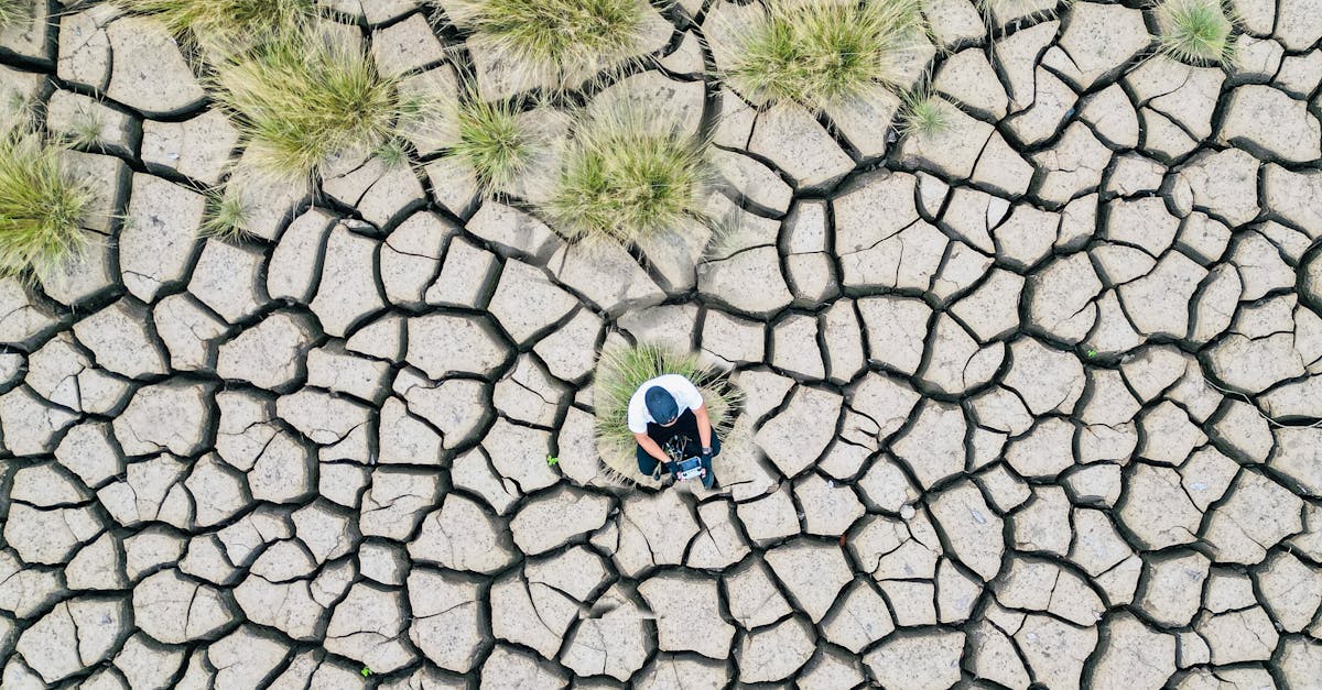 découvrez les causes, les impacts et les solutions du changement climatique pour mieux comprendre et agir face aux défis environnementaux mondiaux.