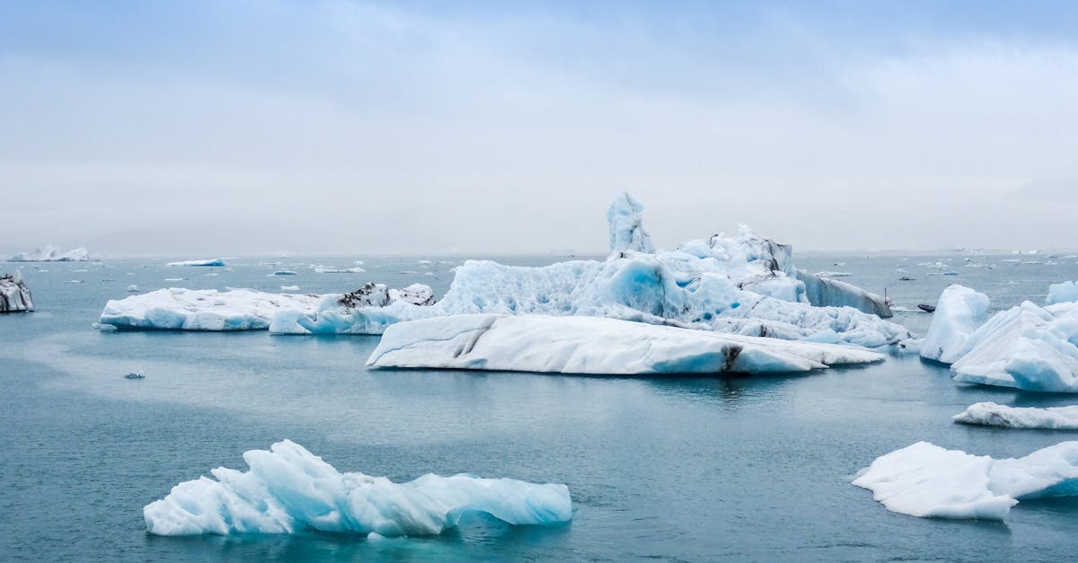 découvrez tout sur le climat : définitions, enjeux actuels, phénomènes météorologiques et solutions pour lutter contre le changement climatique. informez-vous sur l'impact du climat au quotidien.