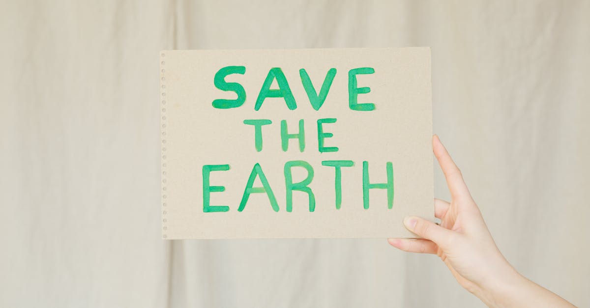 sensibilisation à l'environnement : comprendre l'importance de protéger notre planète et adopter des comportements écoresponsables pour un avenir durable.