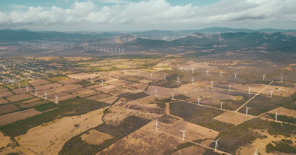 découvrez comment intégrer la durabilité dans vos pratiques quotidiennes pour un avenir respectueux de l'environnement et économiquement viable.