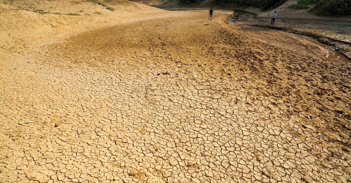 découvrez les causes, les impacts et les solutions face au changement climatique pour mieux comprendre et agir en faveur de la planète.