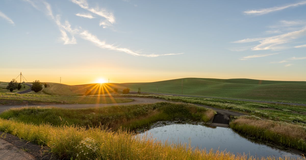 découvrez nos politiques environnementales visant à promouvoir la durabilité, à réduire l'impact écologique et à favoriser une gestion responsable des ressources naturelles. engagez-vous pour un avenir plus vert.
