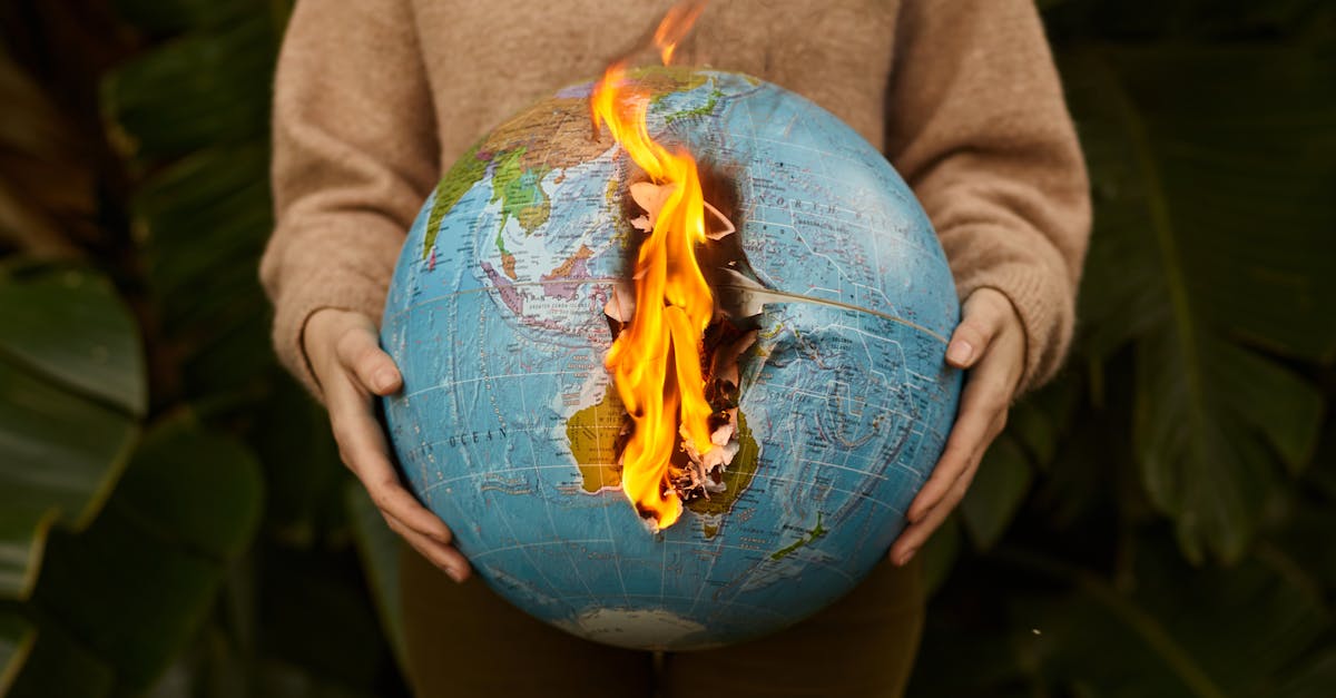 découvrez l'impact du changement climatique sur notre planète et les actions essentielles pour protéger l'environnement et assurer un avenir durable.