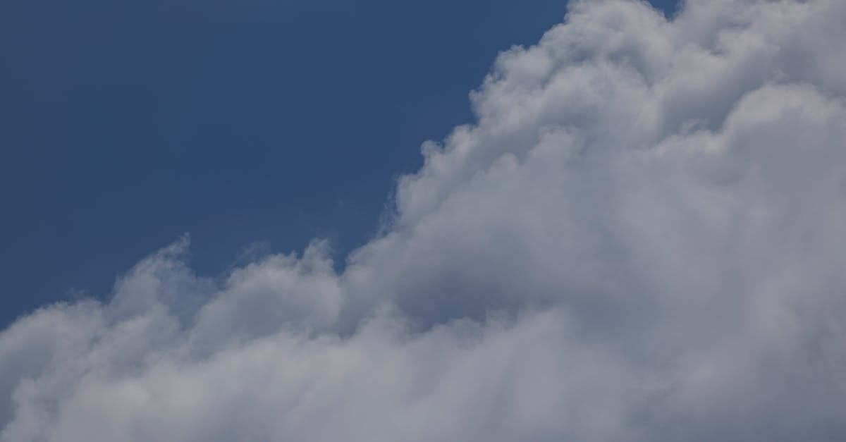 découvrez les startups climatiques innovantes qui transforment notre avenir en proposant des solutions durables pour lutter contre le changement climatique. explorez des idées révolutionnaires et des entreprises engagées qui œuvrent pour un monde plus vert.