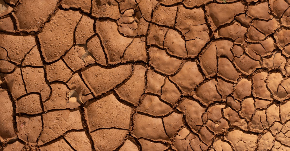 découvrez les causes, les impacts et les solutions face à la sécheresse, un phénomène climatique affectant l'environnement et l'agriculture.