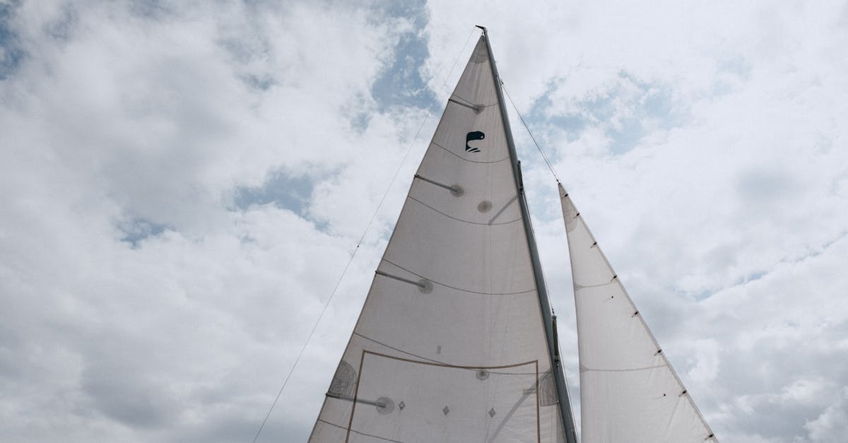 découvrez l'art de la voile : conseils, techniques et destinations pour vivre des aventures inoubliables en mer.