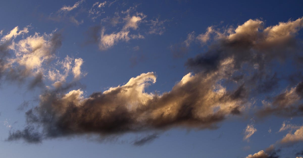 découvrez les enjeux de la gouvernance climatique : stratégies, politiques et initiatives internationales pour faire face aux défis du changement climatique et promouvoir un développement durable.