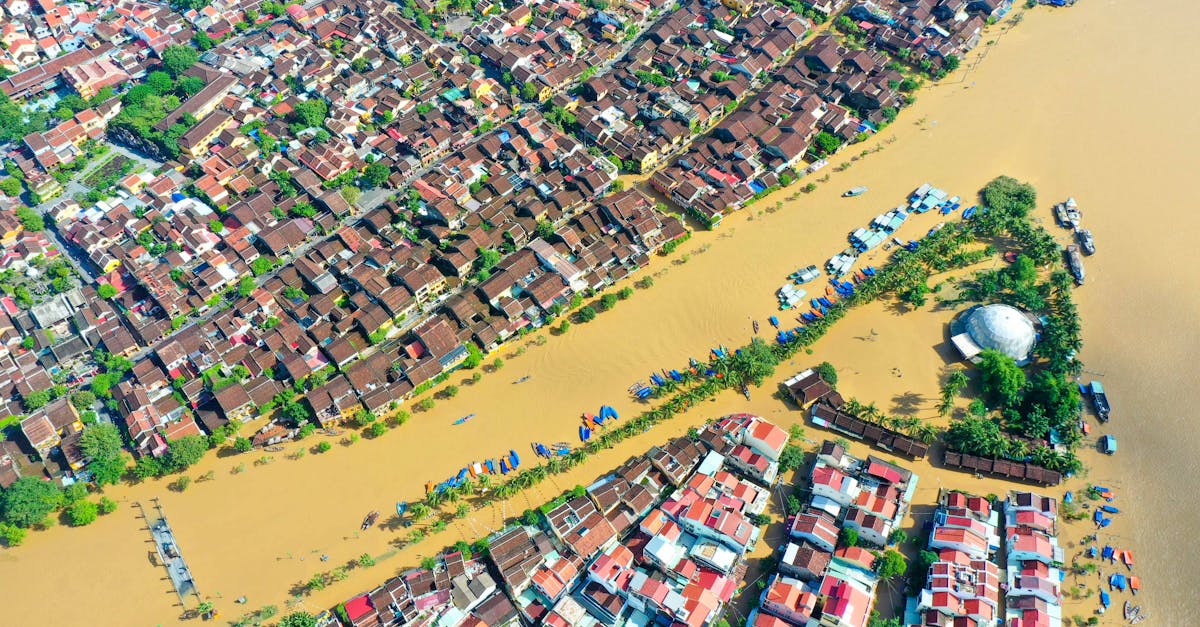 découvrez des stratégies et solutions innovantes pour renforcer la résilience climatique face aux changements environnementaux et protéger nos communautés.