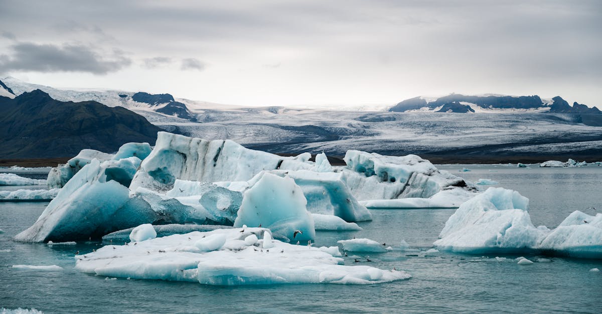découvrez les droits des personnes déplacées en raison du changement climatique, les défis juridiques et les solutions pour protéger les populations vulnérables face à l'augmentation des migrations environnementales.