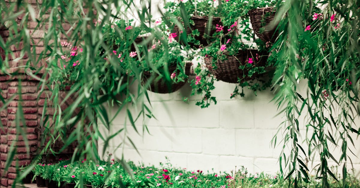 découvrez la foire maison & jardin, l'événement incontournable pour trouver inspiration, conseils et les dernières tendances en décoration, jardinage et aménagement extérieur.