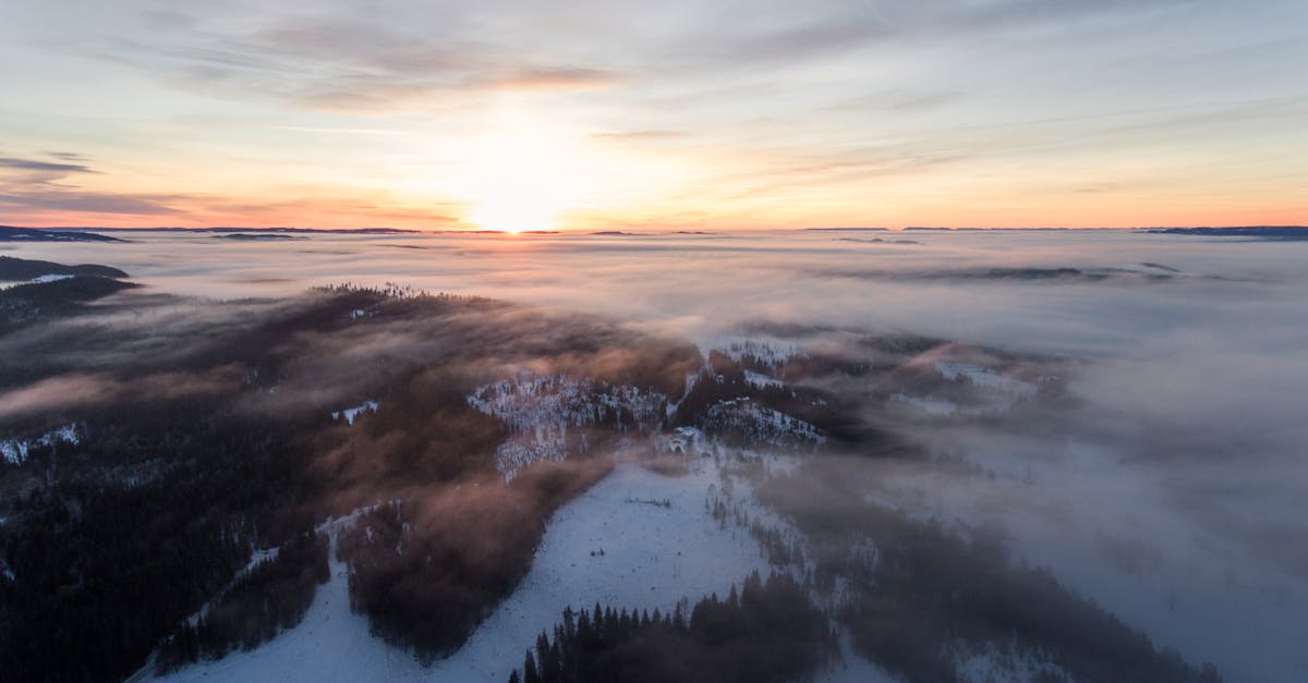 découvrez les dernières informations sur le climat : actualités, impacts sur l’environnement, solutions pour lutter contre le changement climatique et conseils pour adopter un mode de vie durable.