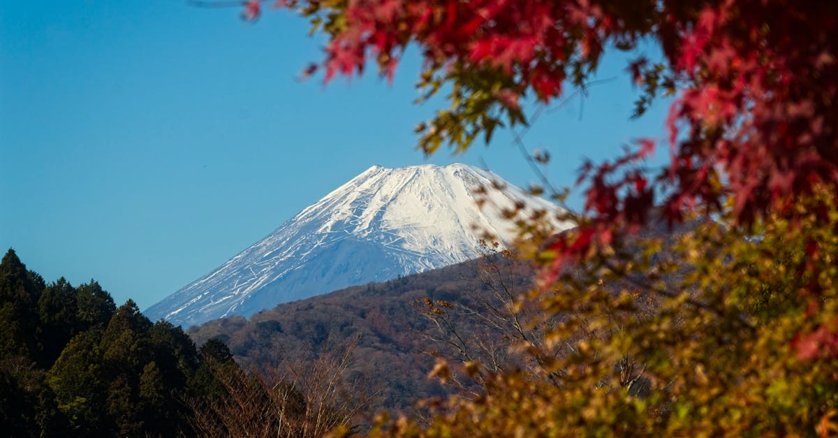 analyse des conséquences de l'inaction climatique au japon et ses enjeux environnementaux majeurs.