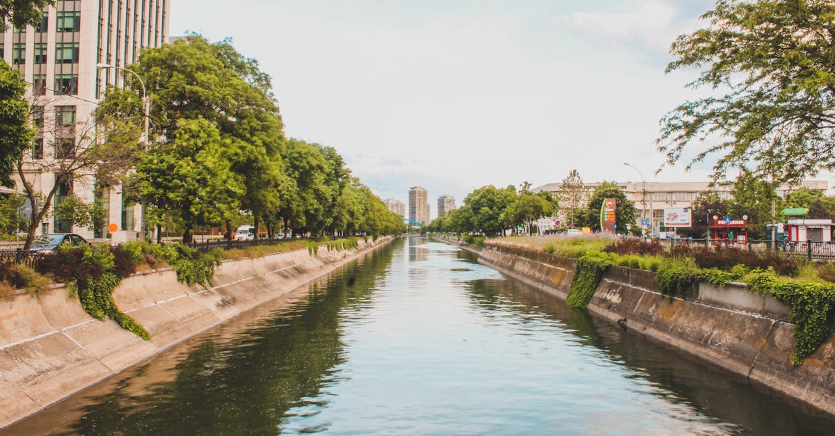 découvrez comment une ville économe en eau optimise la gestion de ses ressources pour un avenir durable et respectueux de l'environnement.