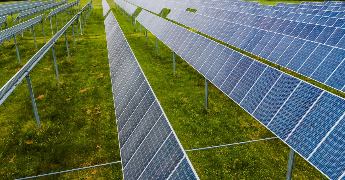 découvrez les enjeux et les perspectives du climat de demain. analysez les impacts du changement climatique sur notre planète et explorez des solutions innovantes pour bâtir un avenir durable.
