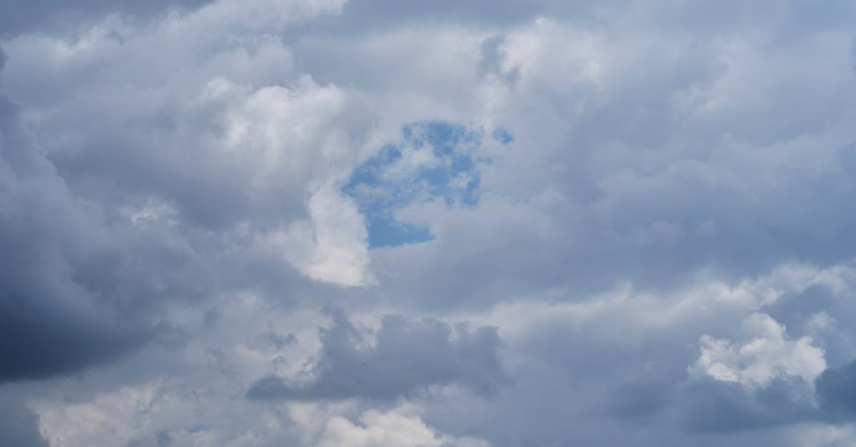 découvrez tout sur le climat : changements climatiques, impacts environnementaux et actions pour un avenir durable.