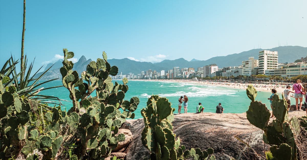 découvrez le climate institute, un centre de recherche dédié à l'étude des changements climatiques et à la promotion de solutions durables. rejoignez-nous pour explorer des initiatives innovantes et sensibiliser le public aux enjeux environnementaux.
