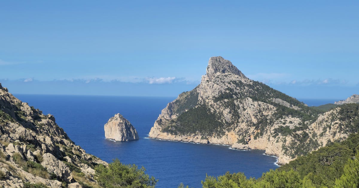 découvrez les efforts et initiatives pour la conservation de la biodiversité en méditerranée, unissant protection marine, restauration des écosystèmes et développement durable.