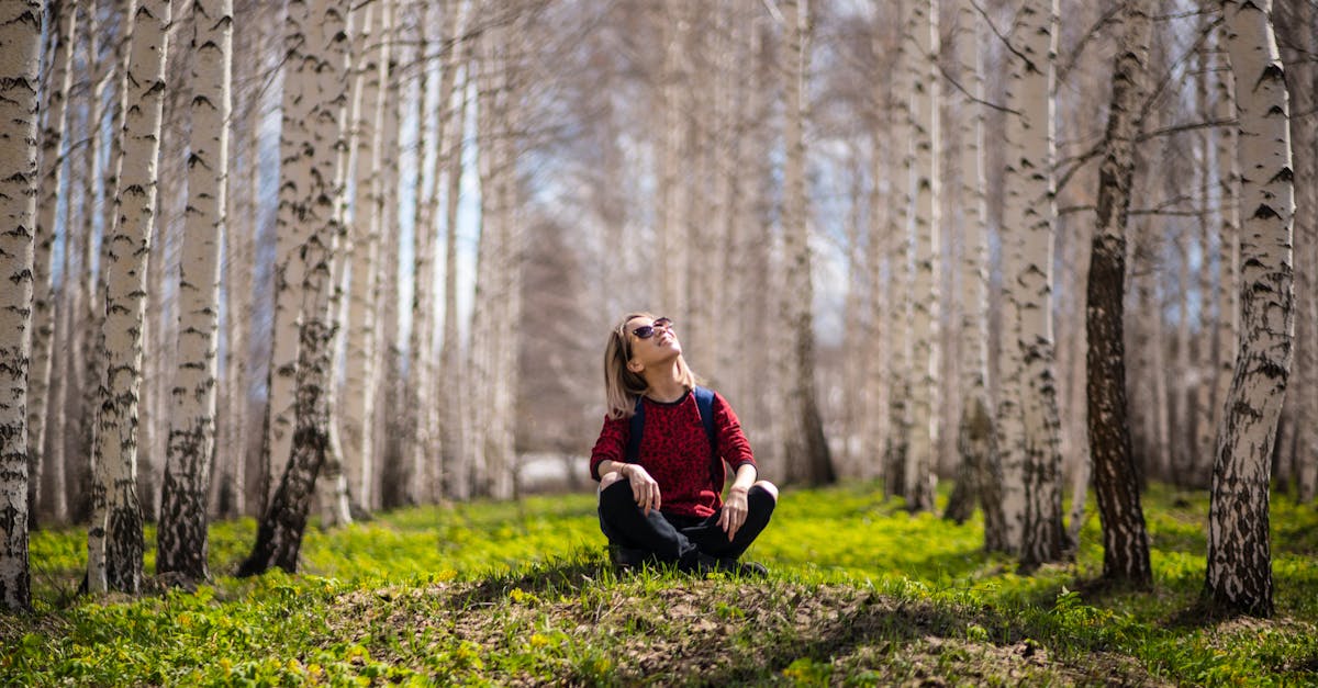 découvrez des informations essentielles et des conseils pratiques sur l'environnement pour protéger notre planète et promouvoir un avenir durable.