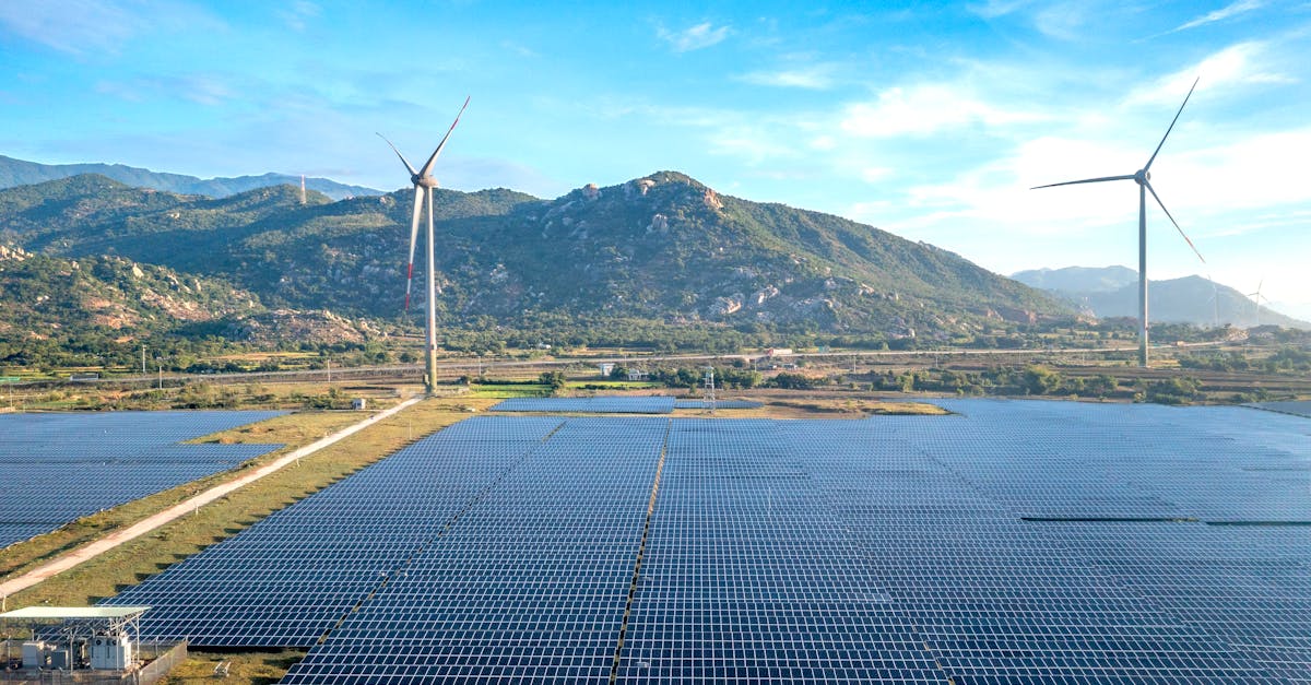découvrez nos initiatives et conseils pour adopter des pratiques durables et respectueuses de l'environnement afin de préserver la planète pour les générations futures.